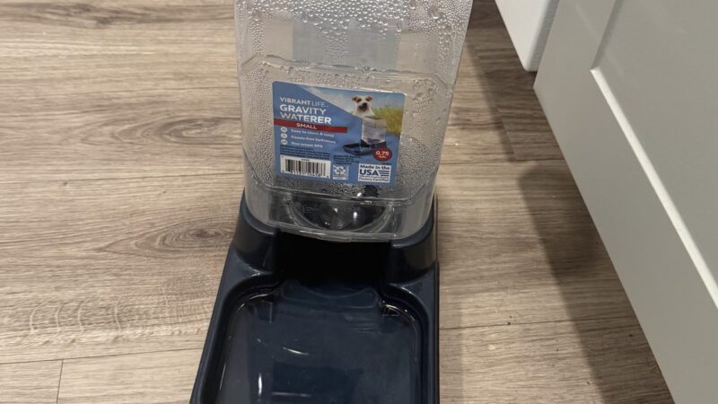 a gravity dog bowl in kitchen