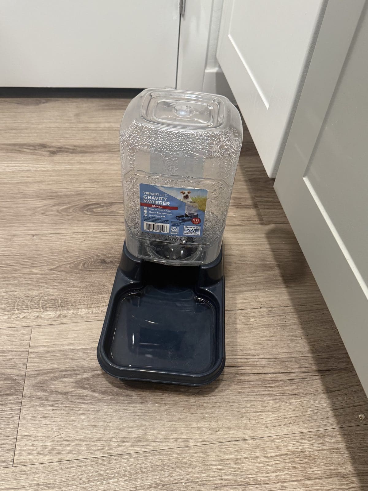 Are Gravity Water Bowls Good for Dogs?
