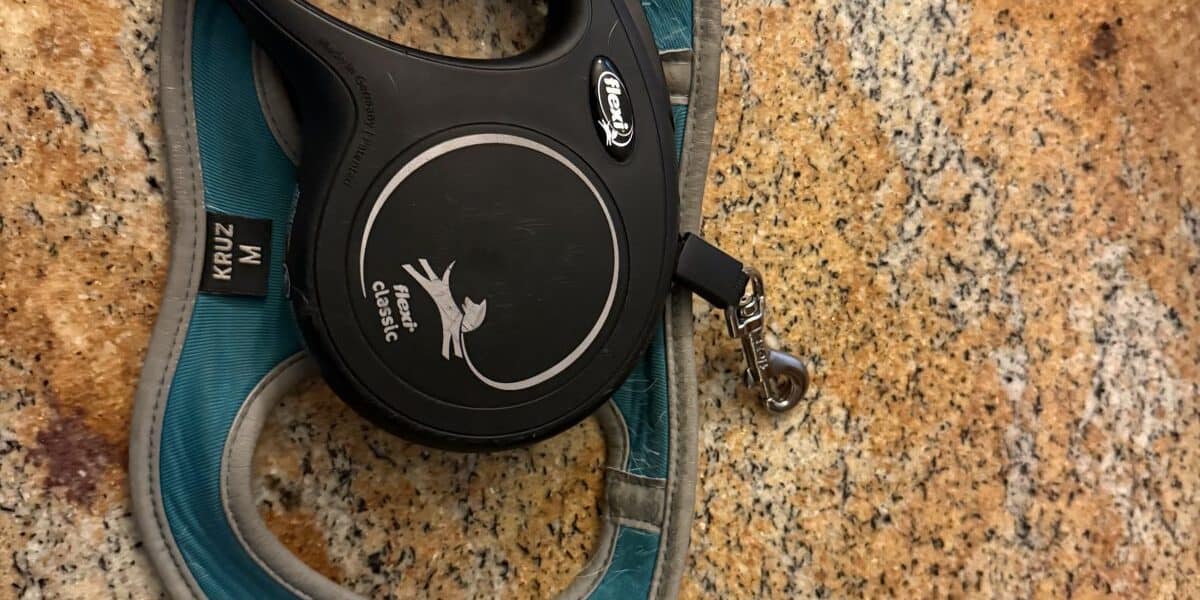 Best Dog Harness and Leash Sets in 2026: Matched Walking Gear That Works