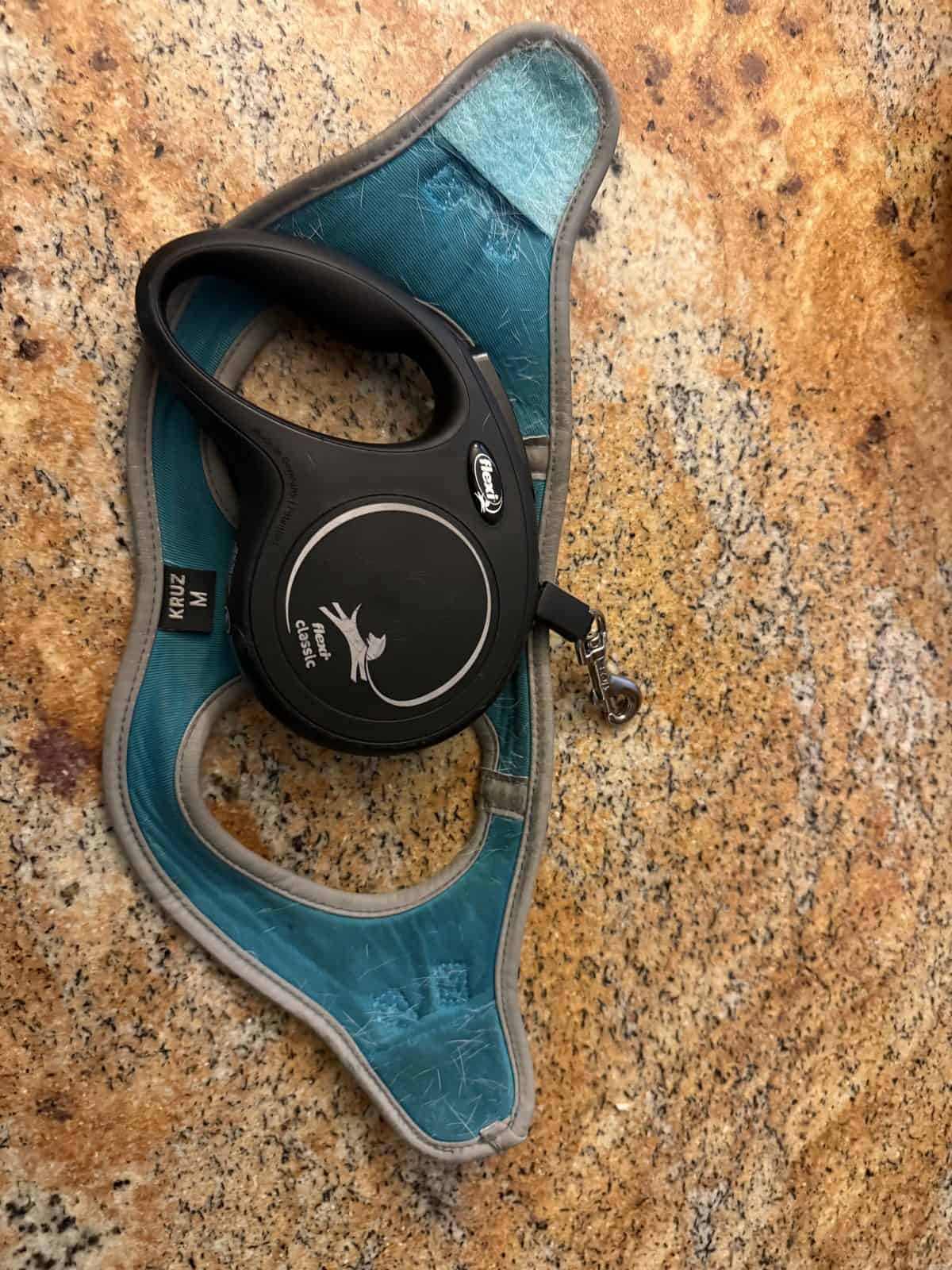 Best Dog Harness and Leash Sets in 2026: Matched Walking Gear That Works