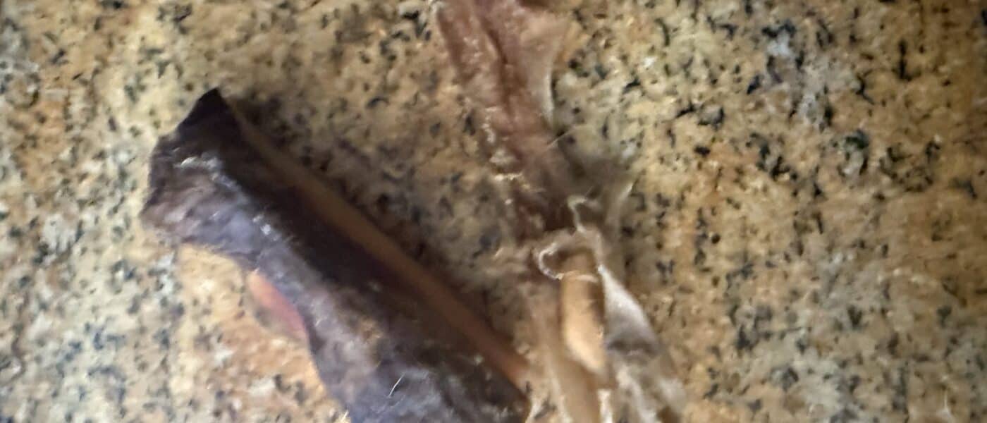 How Long Do Hide Chews Last? A Real-World Look