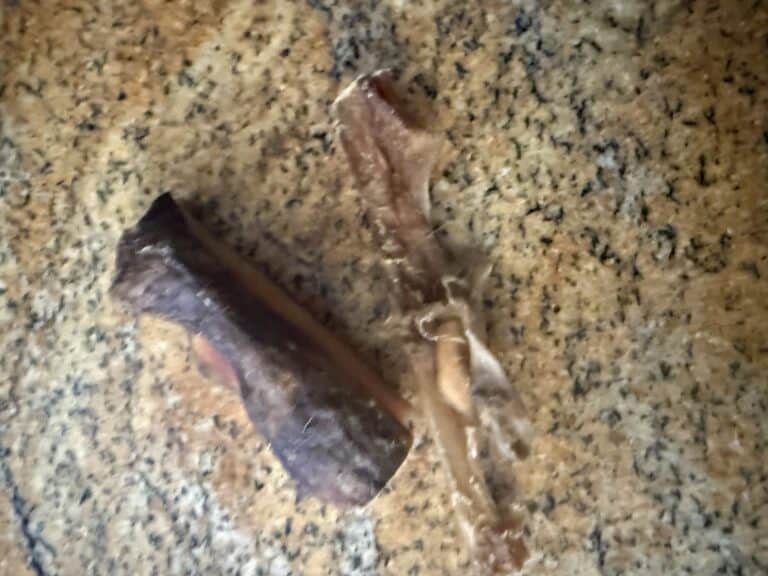 hide chews on countertop