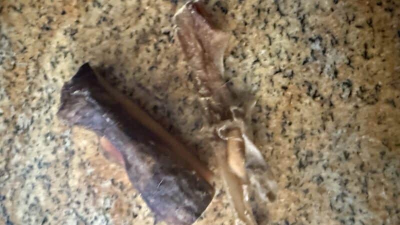 hide chews on countertop