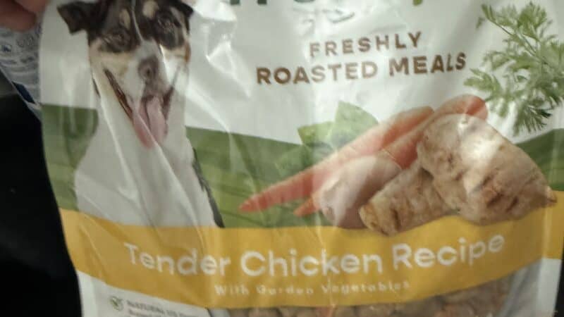 high protein dog food