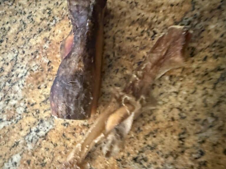 a rawhide chew in kitchen
