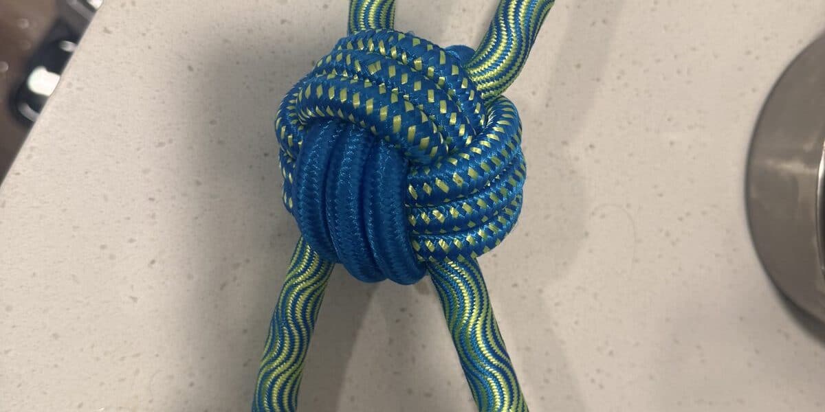 Are Rope Toys Safe for Dogs? What to Know