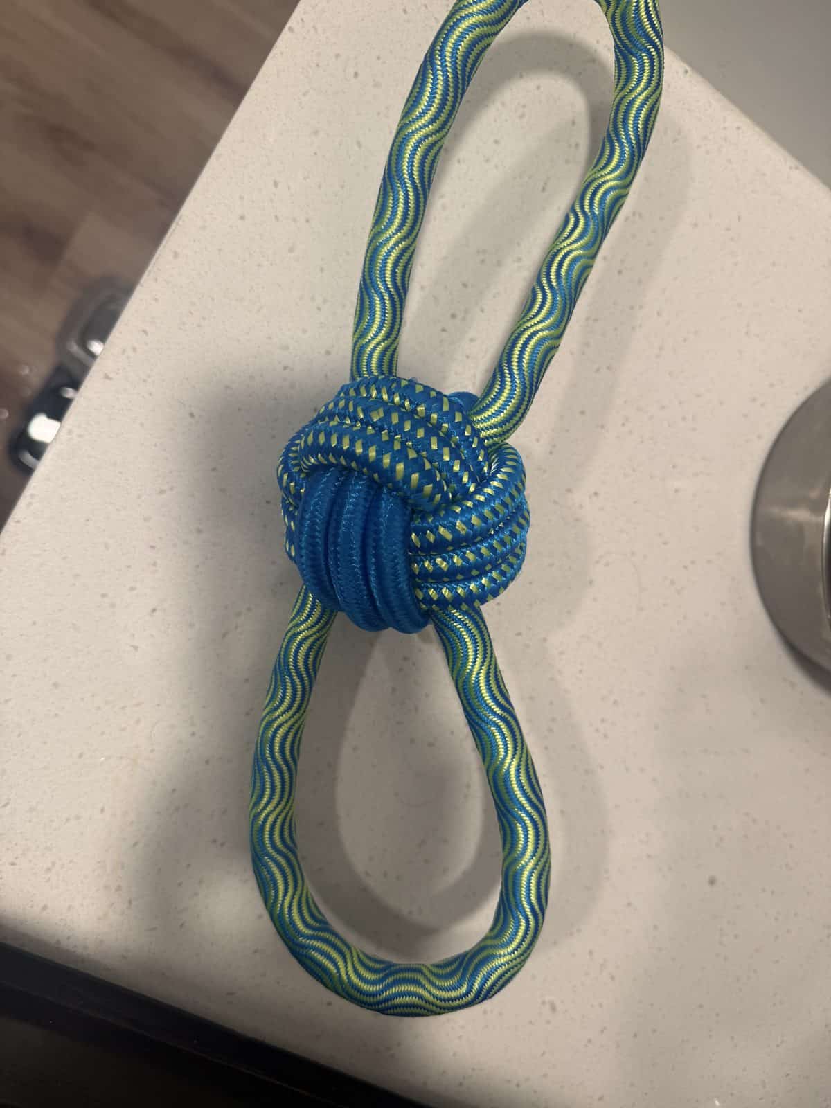 Are Rope Toys Safe for Dogs? What to Know