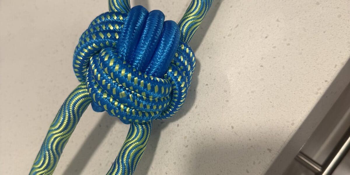 Rope Toys for Small Dogs: What I’ve Learned