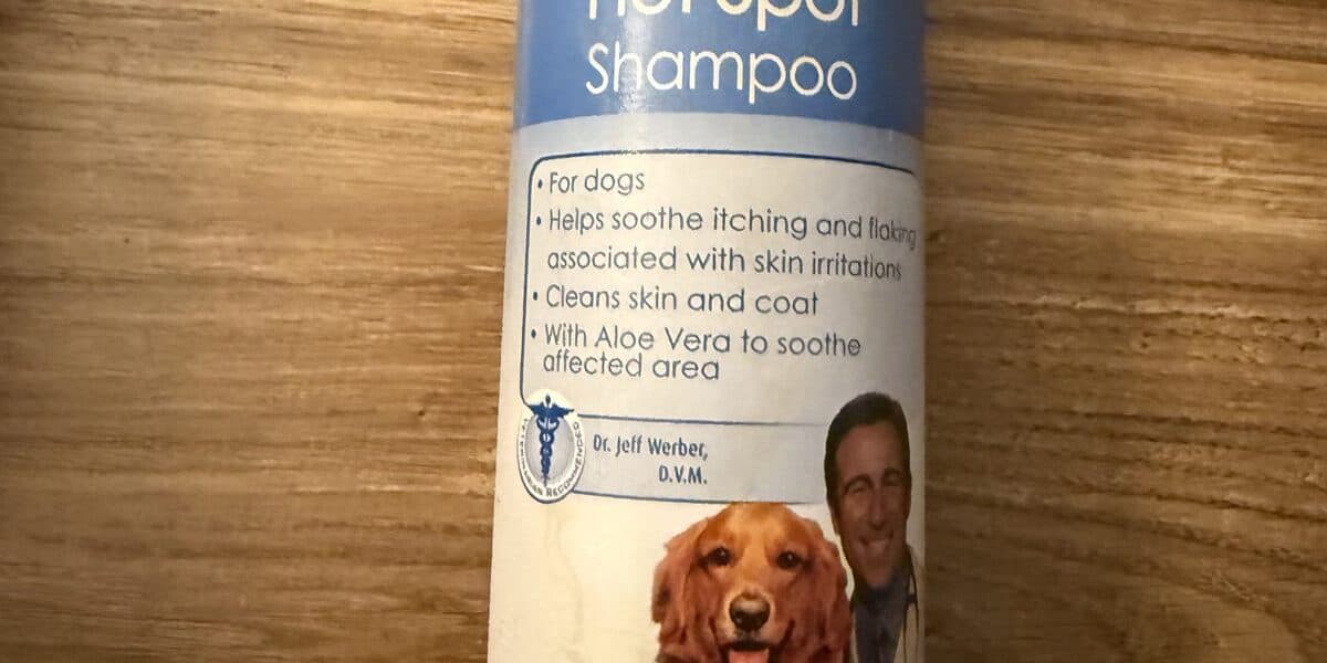 Best Dog Shampoos for Hot Spots in 2026: Soothing and Comforting For Your Dog