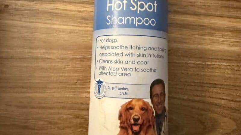 dog shampoo for hot spots on countertop