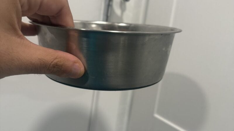 a sturdy dog bowl for food