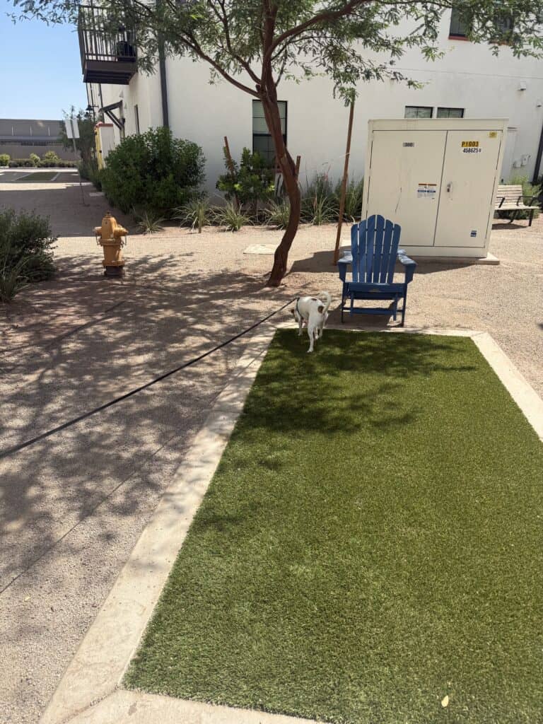 walking in grass