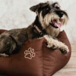 a waterproof dog bed on floor