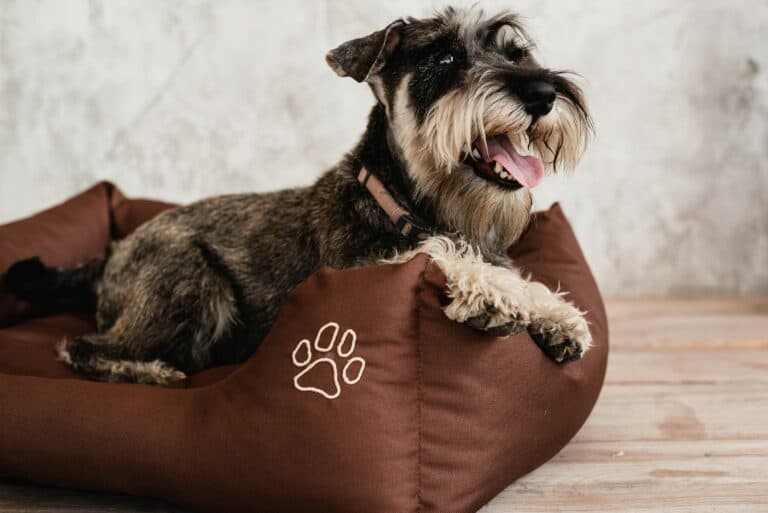 a waterproof dog bed on floor