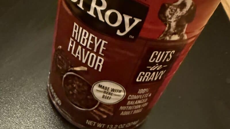 wet dog food for everyday meals