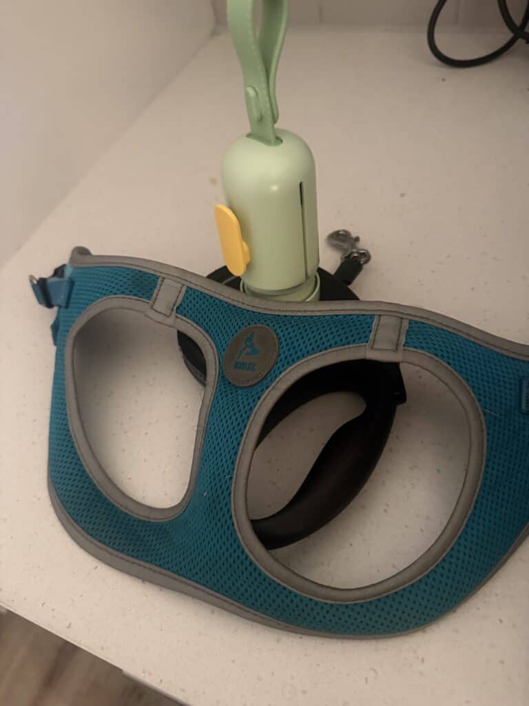 what i bring to walk my dog