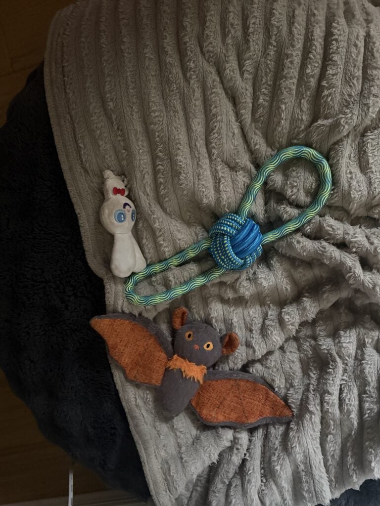a bundle of toys laying on dog bed