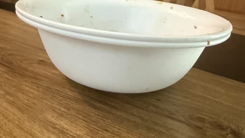a dog bowl big for mixing types of food