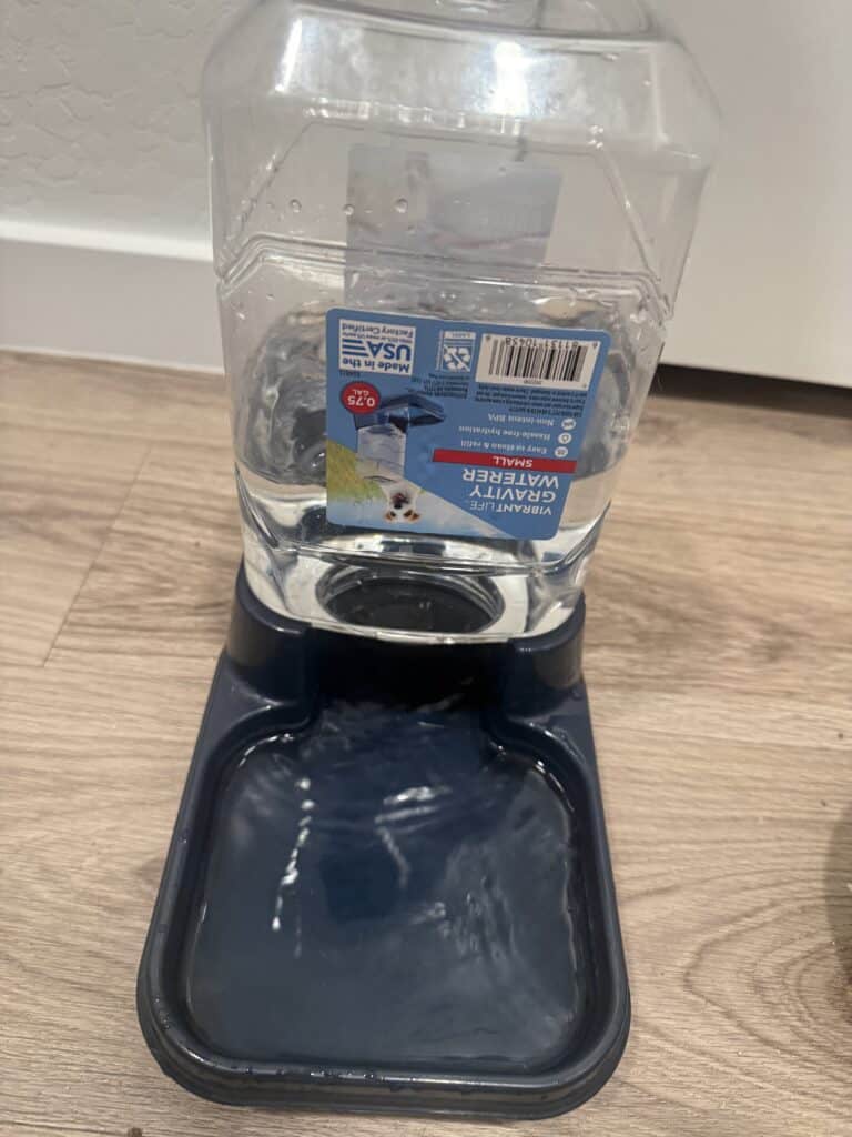 a dog gravity water bowl in home