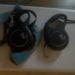 leash and harness for dog