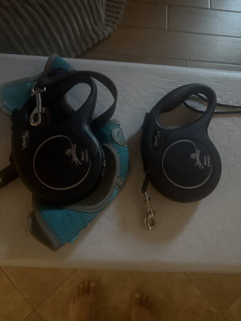 leash and harness for dog