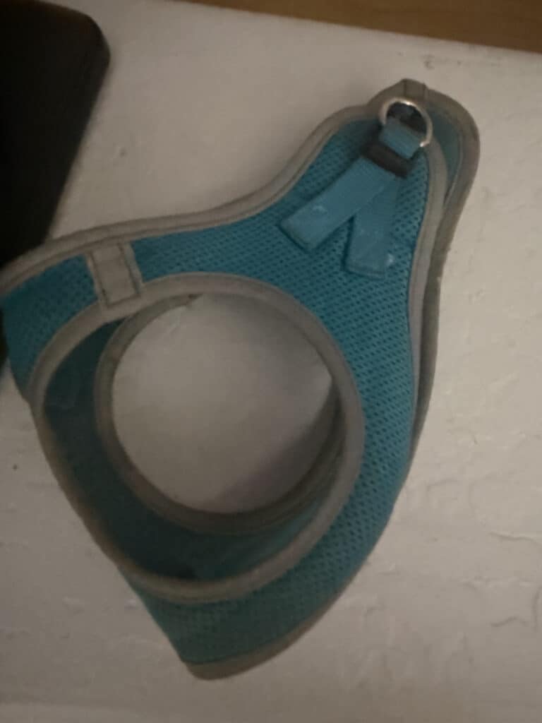 a harness side view on display