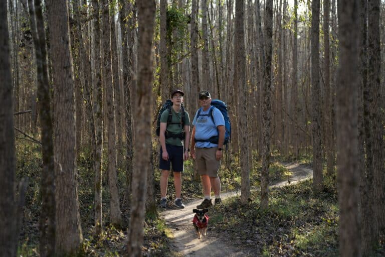 a hike with a small dog in forest