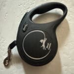 a leash for small dog in apartment