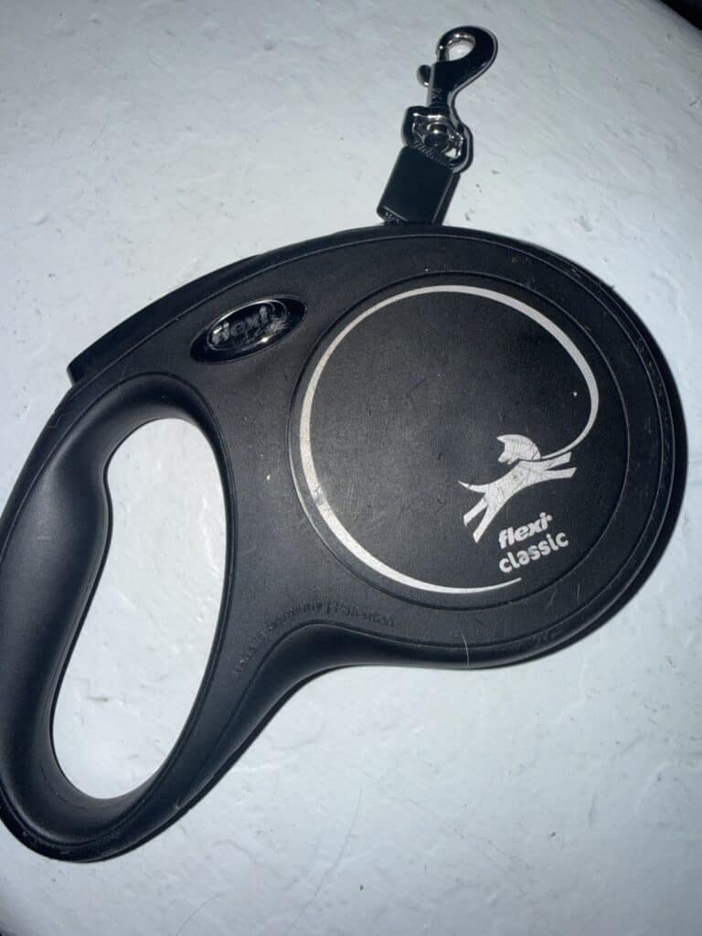 a retractable leash clean upclose