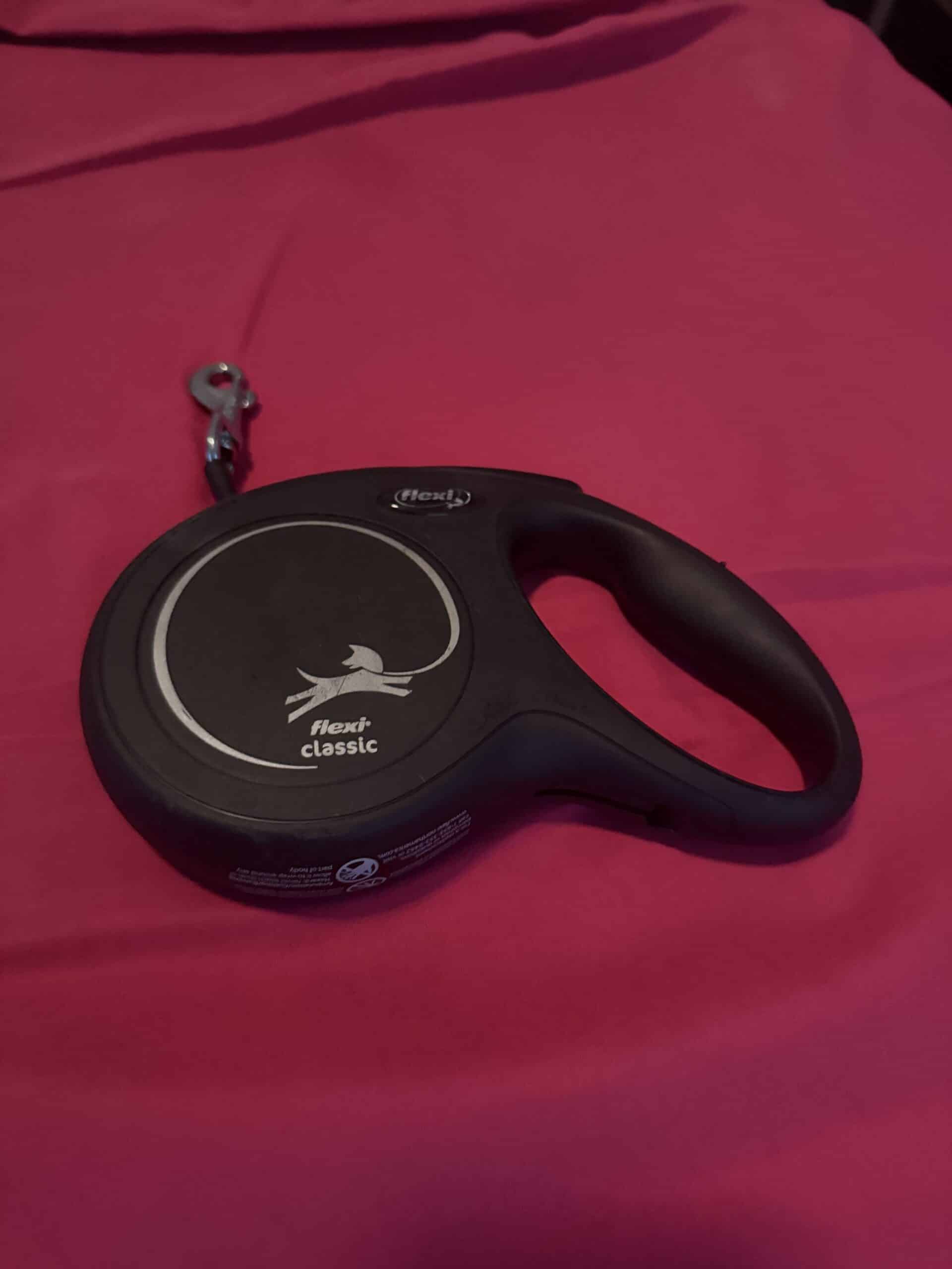 When Should You Replace a Dog Leash: Clips, Webbing, and Wear to Watch For