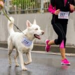 running with dog in race