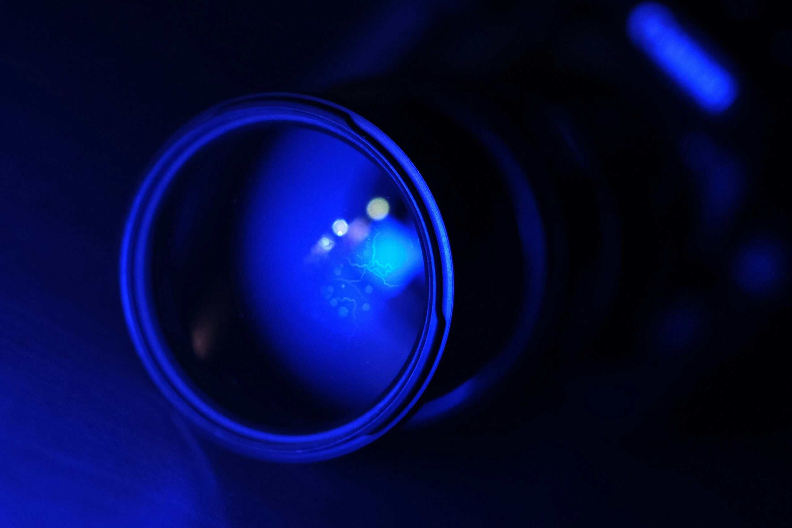Best UV Blacklight Flashlights for Pet Urine in 2026: Find Hidden Accidents Before They Turn Into Permanent Odor