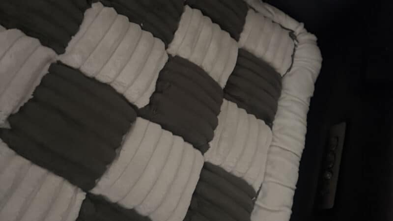 a dog couch cover in home