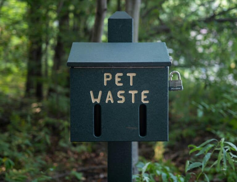 dog waste disposal outdoors