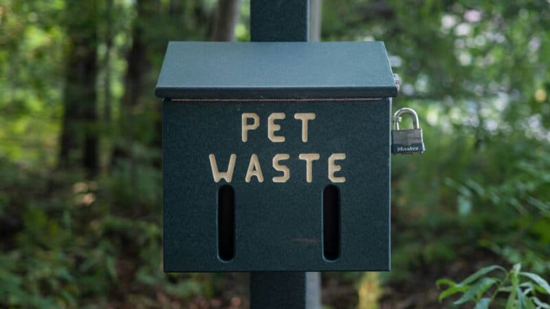 dog waste disposal outdoors