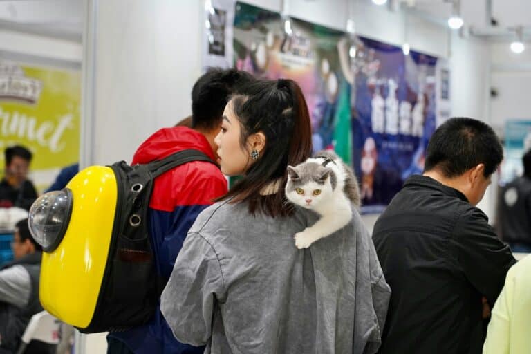a woman carrying a cat while someone has a cat backpack