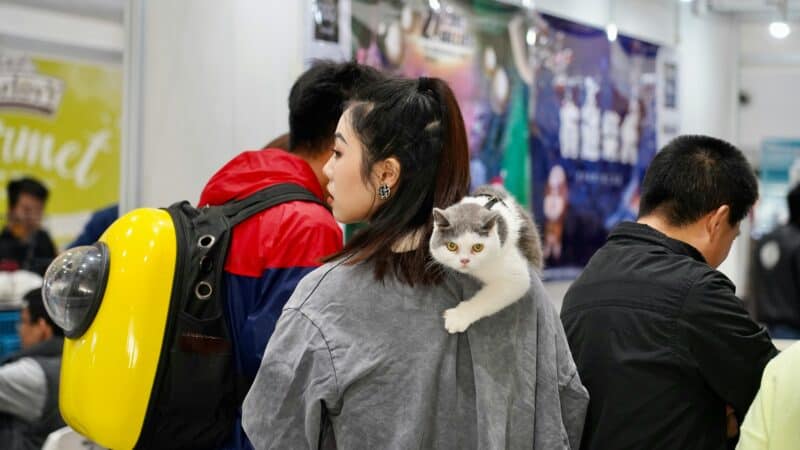 a woman carrying a cat while someone has a cat backpack