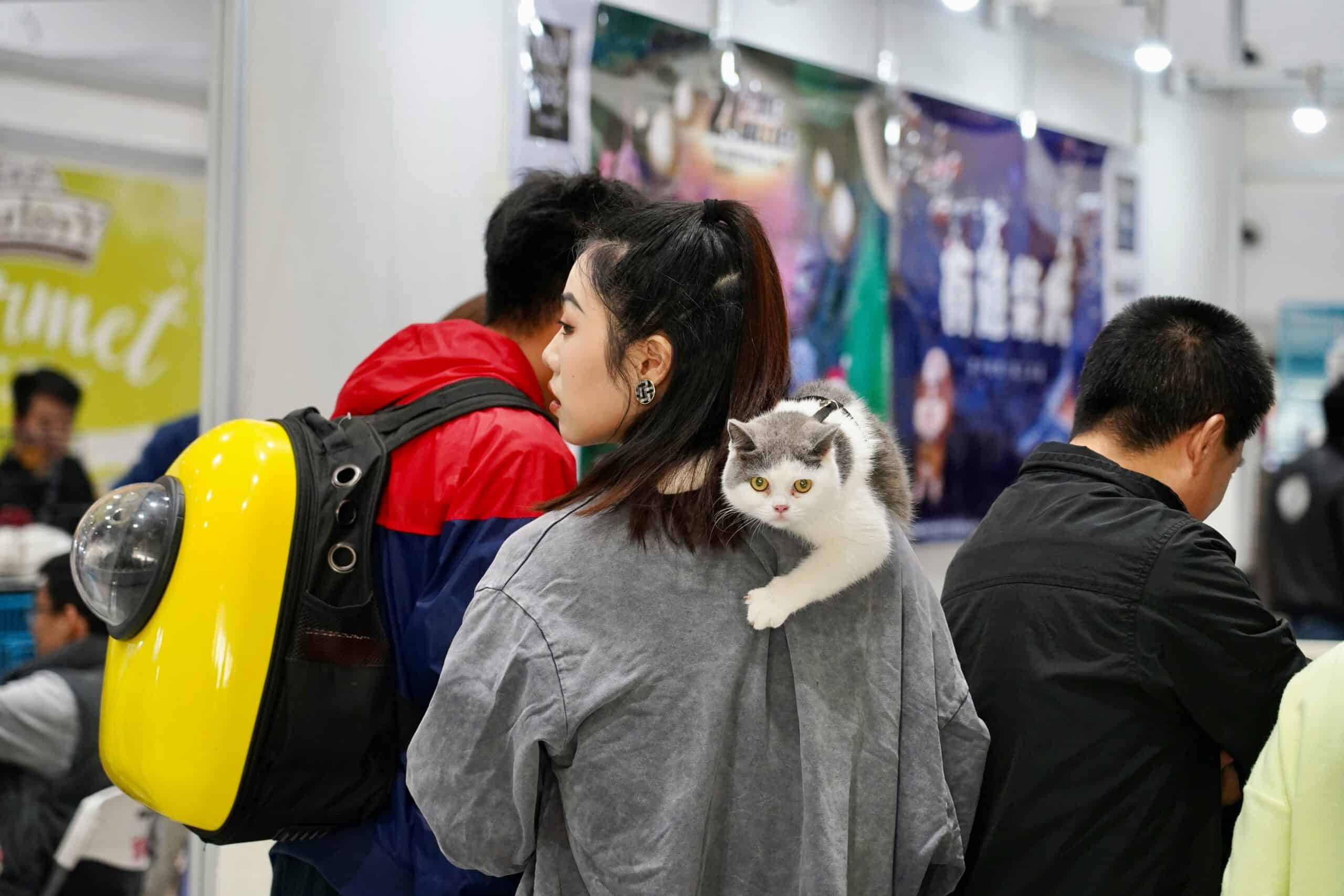 Cat Carrier vs Cat Backpack: Which One Your Cat Will Actually Tolerate