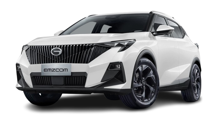 EMZOOM-removebg-preview