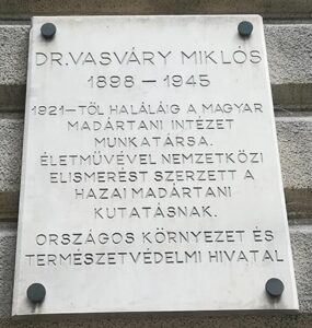 Emléktáblák 91 hajnoczyjozsef 15vasvary e1642687621918