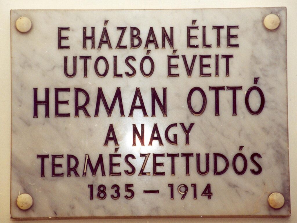 Emléktáblák 136 magyar jakobinusok tere 1 2 e1642689460704