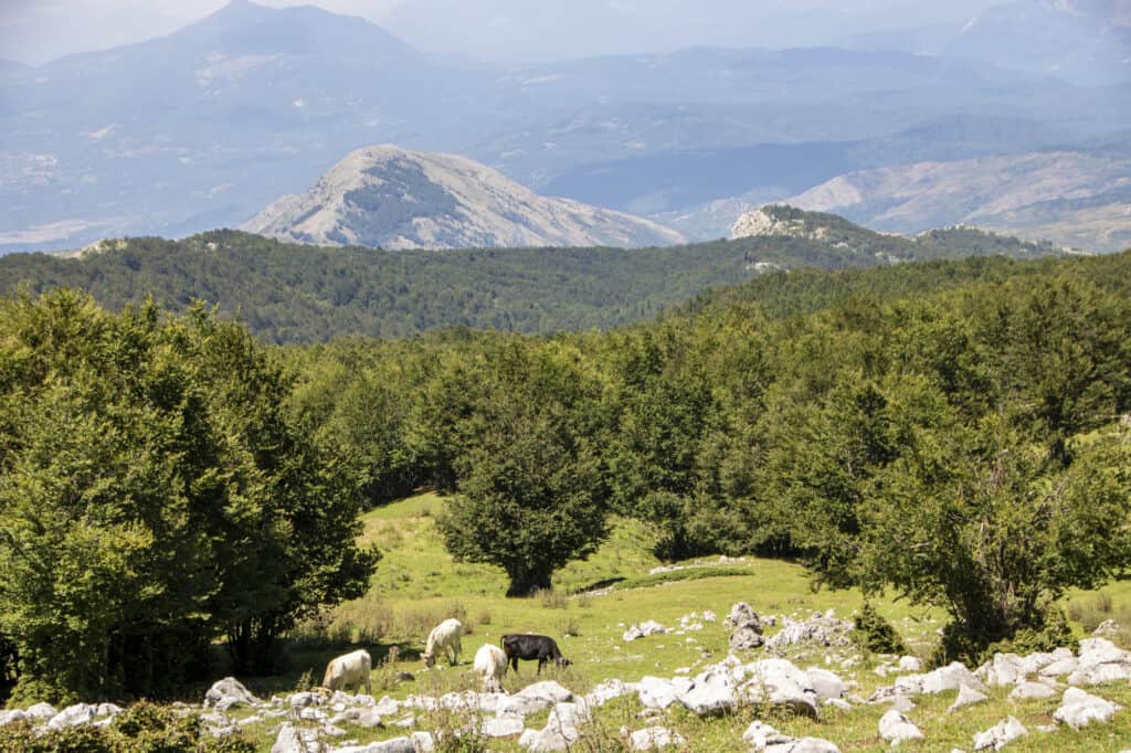 Blue skies and virgin landscapes of Pollino National Park, a pristine natural reserve in Basilicata, Southern Italy