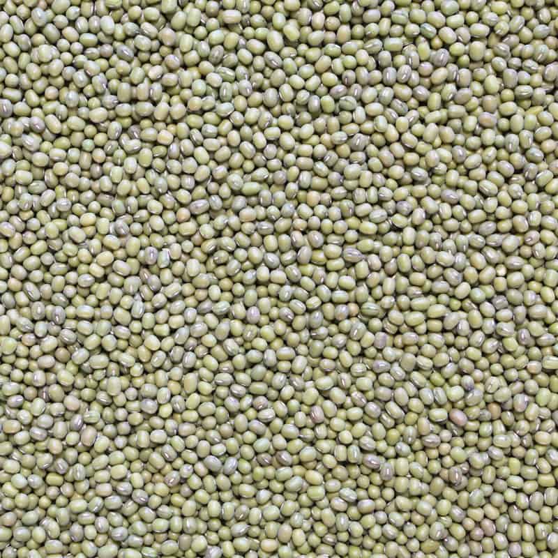 mungbonen biologische
