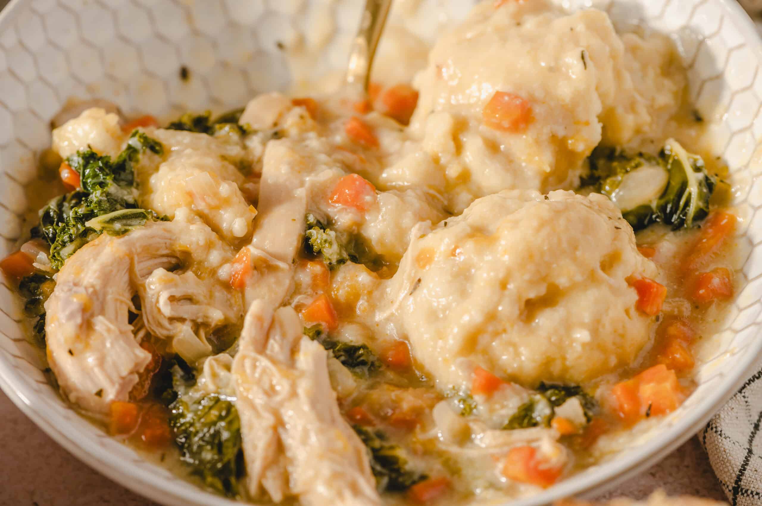 Snow Day Dumplings - Hey Recipe