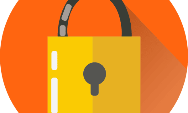 Free lock security key vector