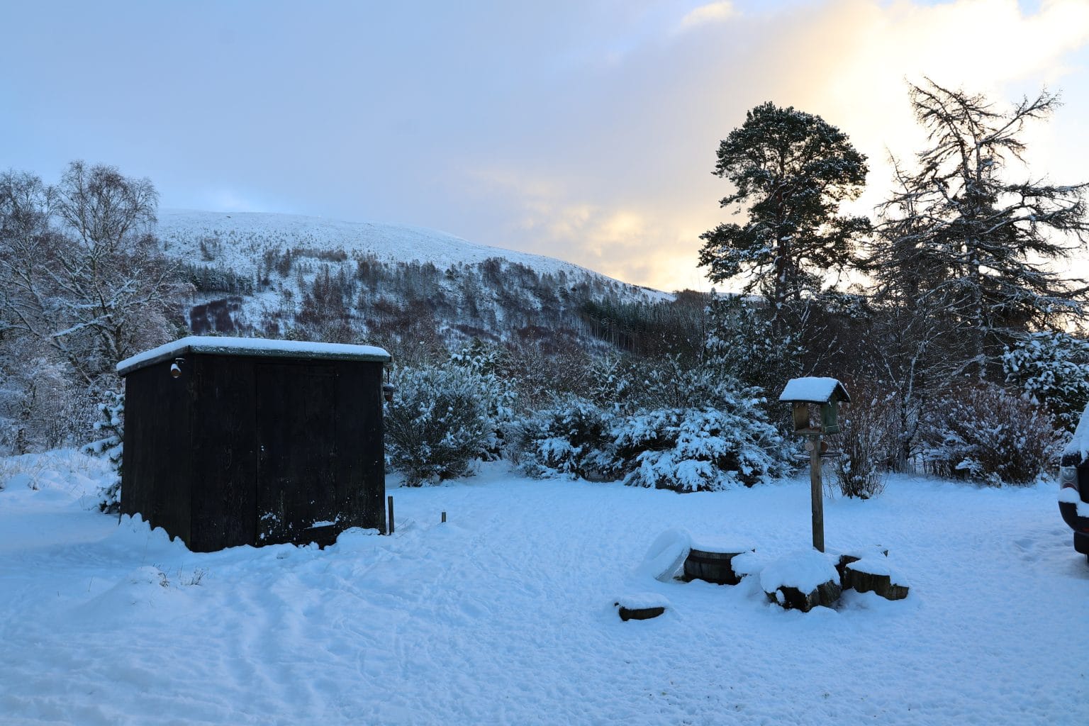 Snow covered garden