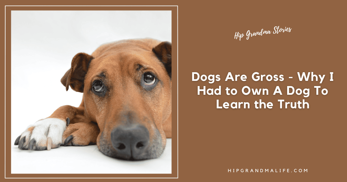 Cute brown dog lying down with sad eyes, resting on a white surface.