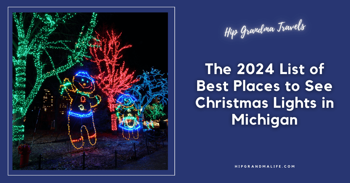 Colorful Christmas light display in Michigan featuring illuminated holiday characters and festive trees at night.