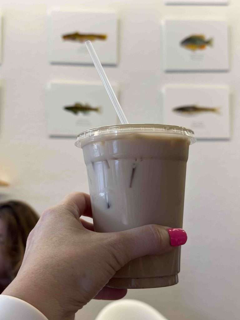 Rich, creamy iced coffee in a clear plastic cup with a straw,