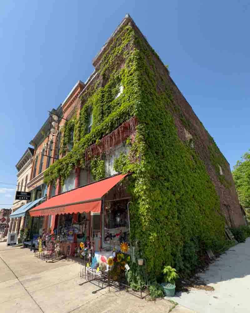 Vine-covered brick building with a storefront on a sunny street in a small town or neighborhood.
